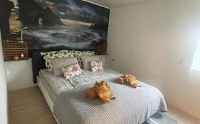 Cozy Haven